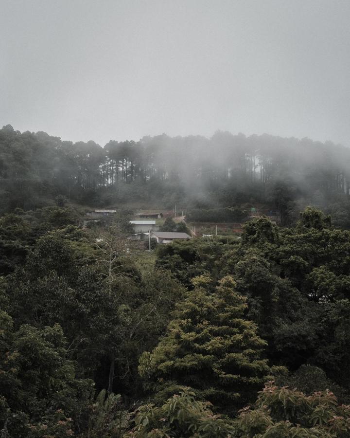 Phu Morinn Camping ม่อนแจ่ม Mon Jam Exteriör bild