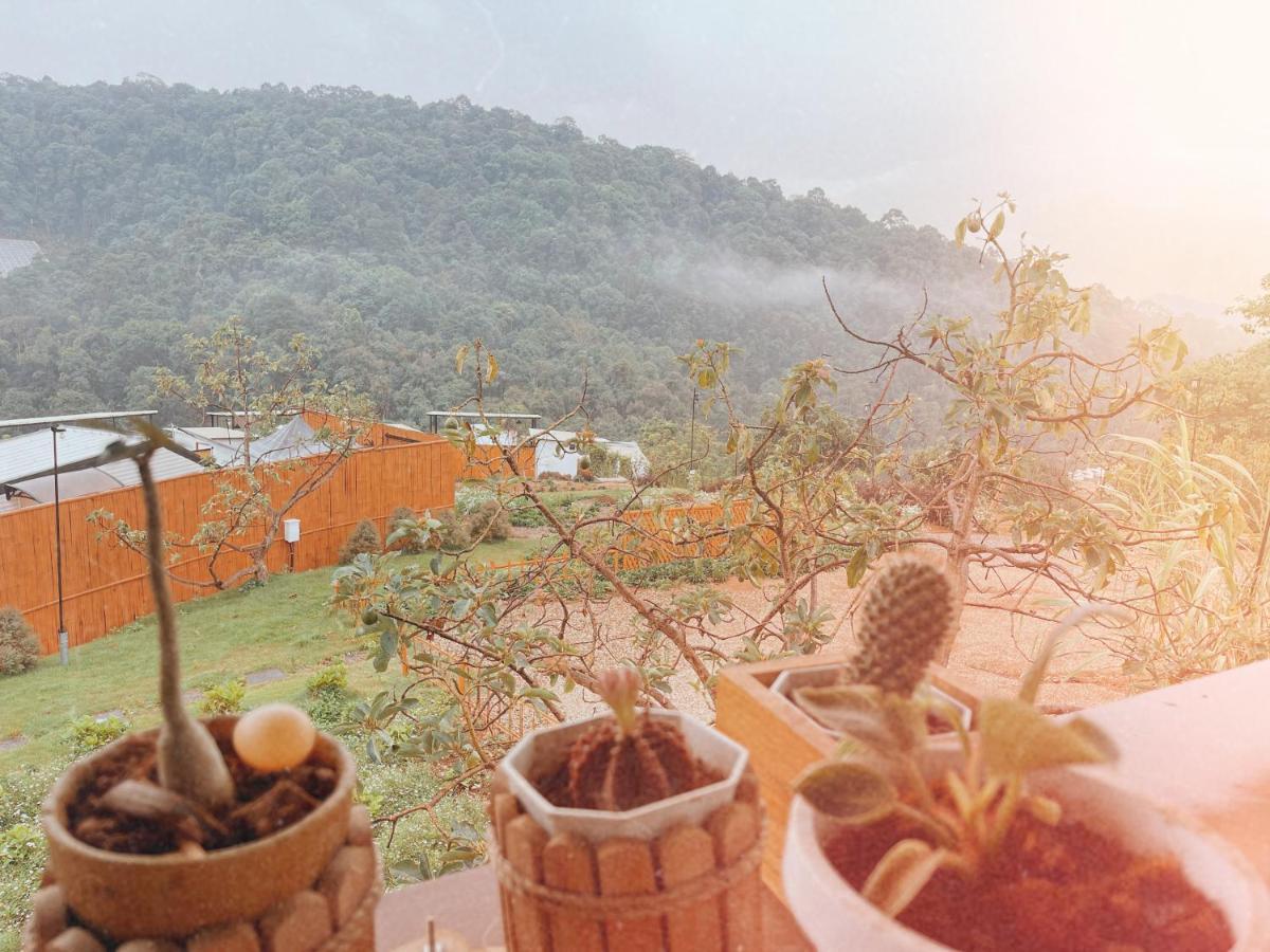 Phu Morinn Camping ม่อนแจ่ม Mon Jam Exteriör bild